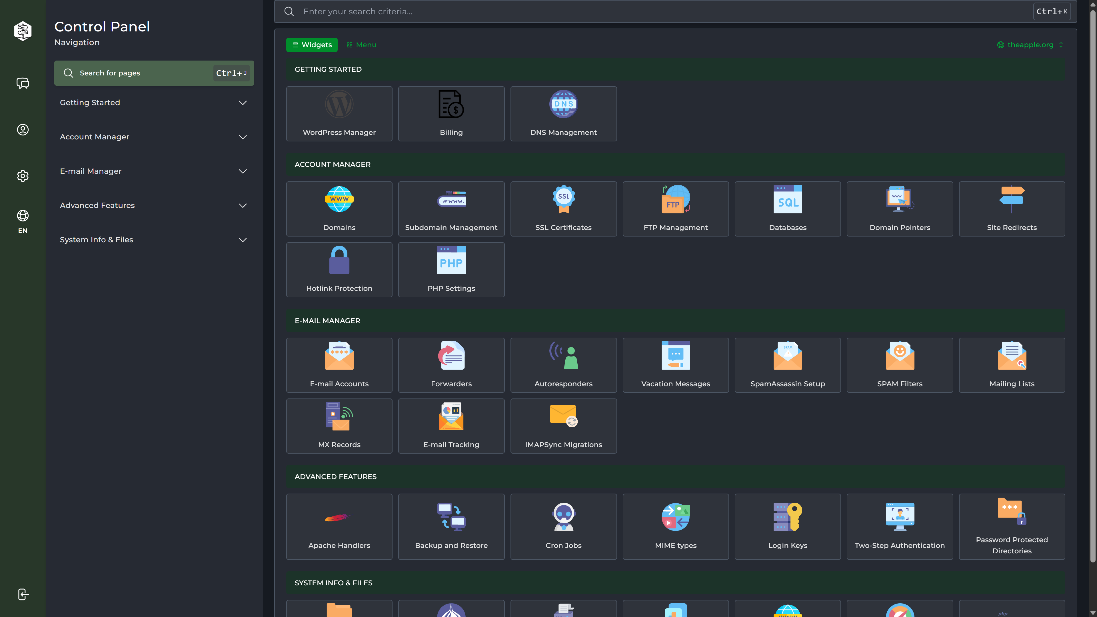 Service Console dashboard showing a grid of hosting and domain management tools